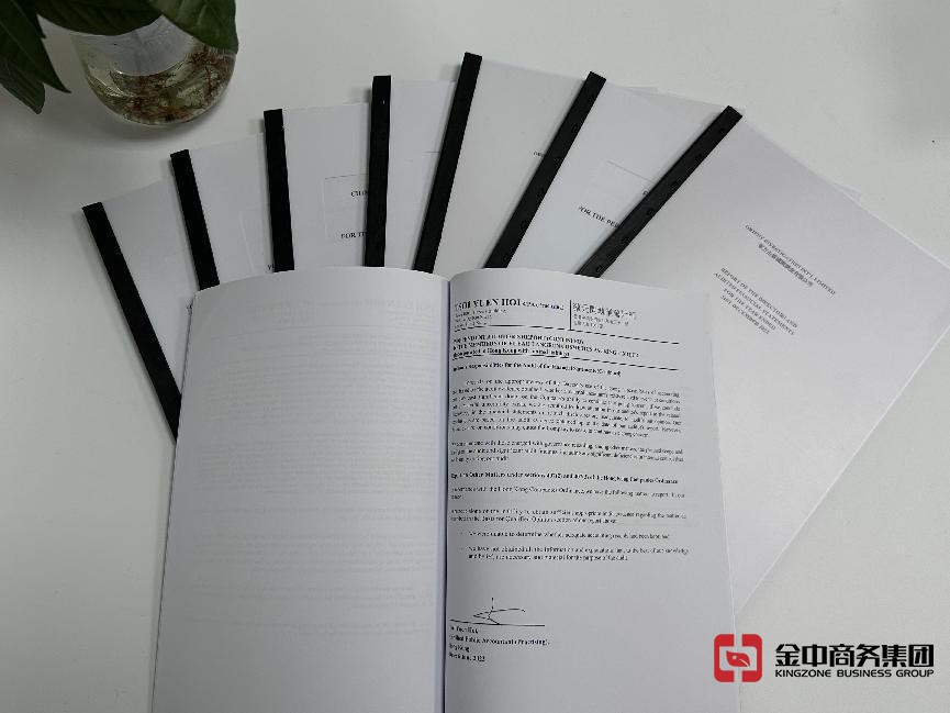 美國公司年審 美國公司年審